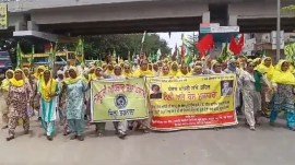 protest against news criminal laws