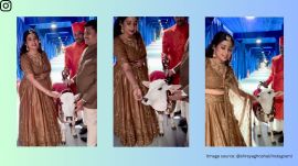 The video shows the calves dressed in a vibrant jackets with intricate embroidery (Image source: @shreyaghoshal/Instagram)