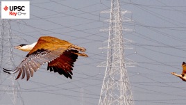 UPSC Key | New Criminal Laws, National Party Tag, Great Indian Bustard and more