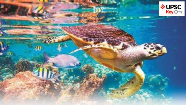 UPSC Key | High Seas Treaty, Budgeting for Science, Defamation and more