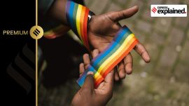 LGBTQ Representational/LGBTQ.