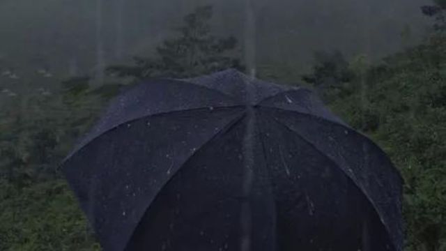 Other tourist destinations of Dalhousie received 31 mm of rain, Manali received 30 mm, Kasauli 24 mm, Narkanda 19 mm and Shimla 17.2 mm.