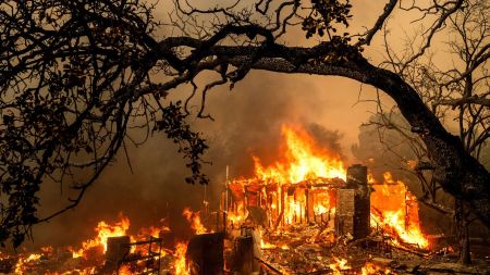 Extreme world weather: rainfall, heatwaves, wildfires