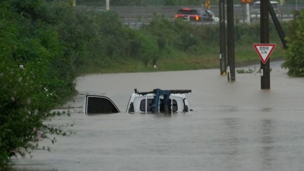 Rainfall, heatwaves, wildfire