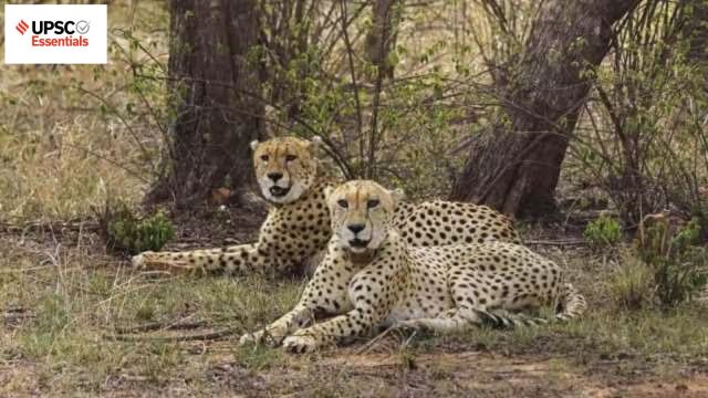 UPSC Mains answer practice — GS 3 (Week 61)