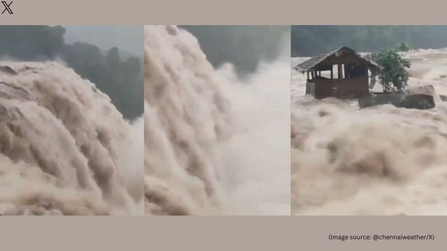 Kerala rains