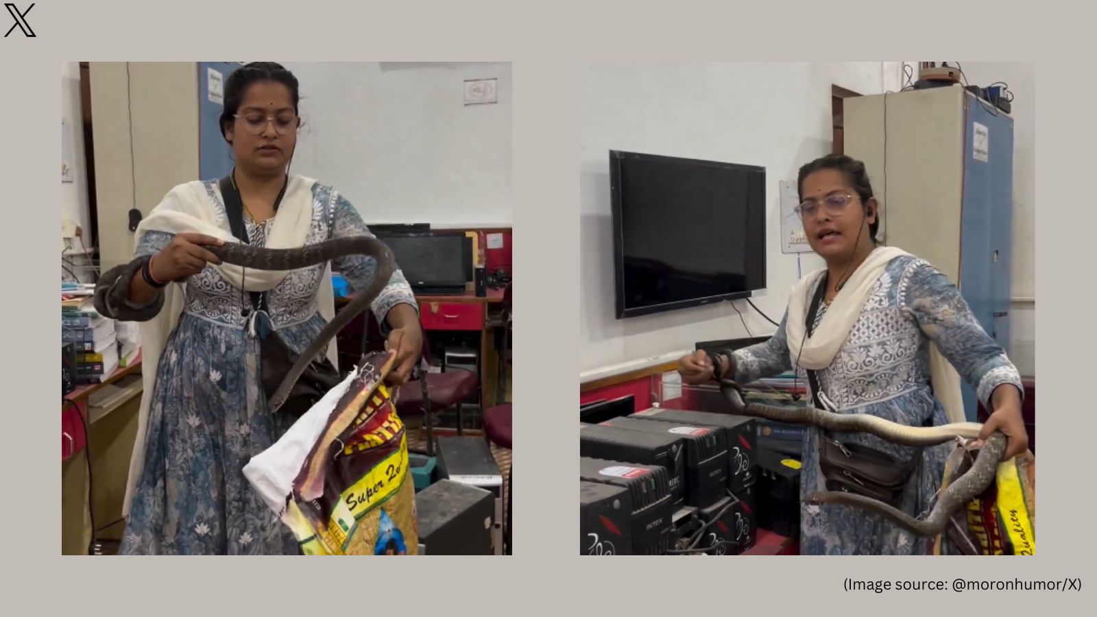 ‘Brave lady’: Woman fearlessly rescues snake from office, netizens laud ...