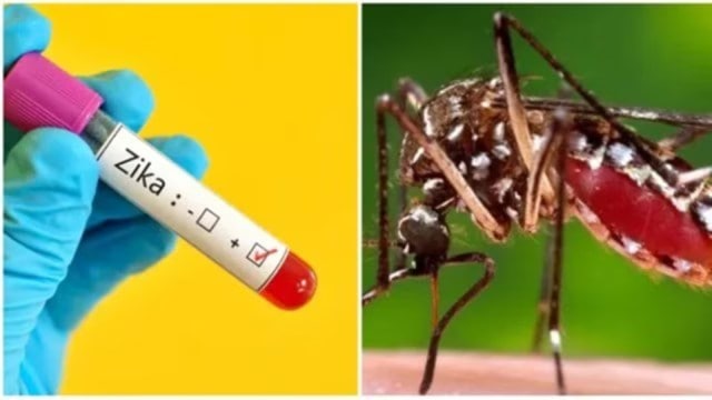 Zika outbreak Maharashtra