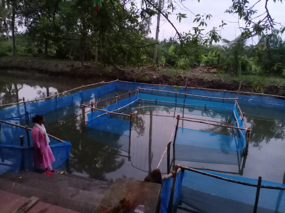 Sundarbans