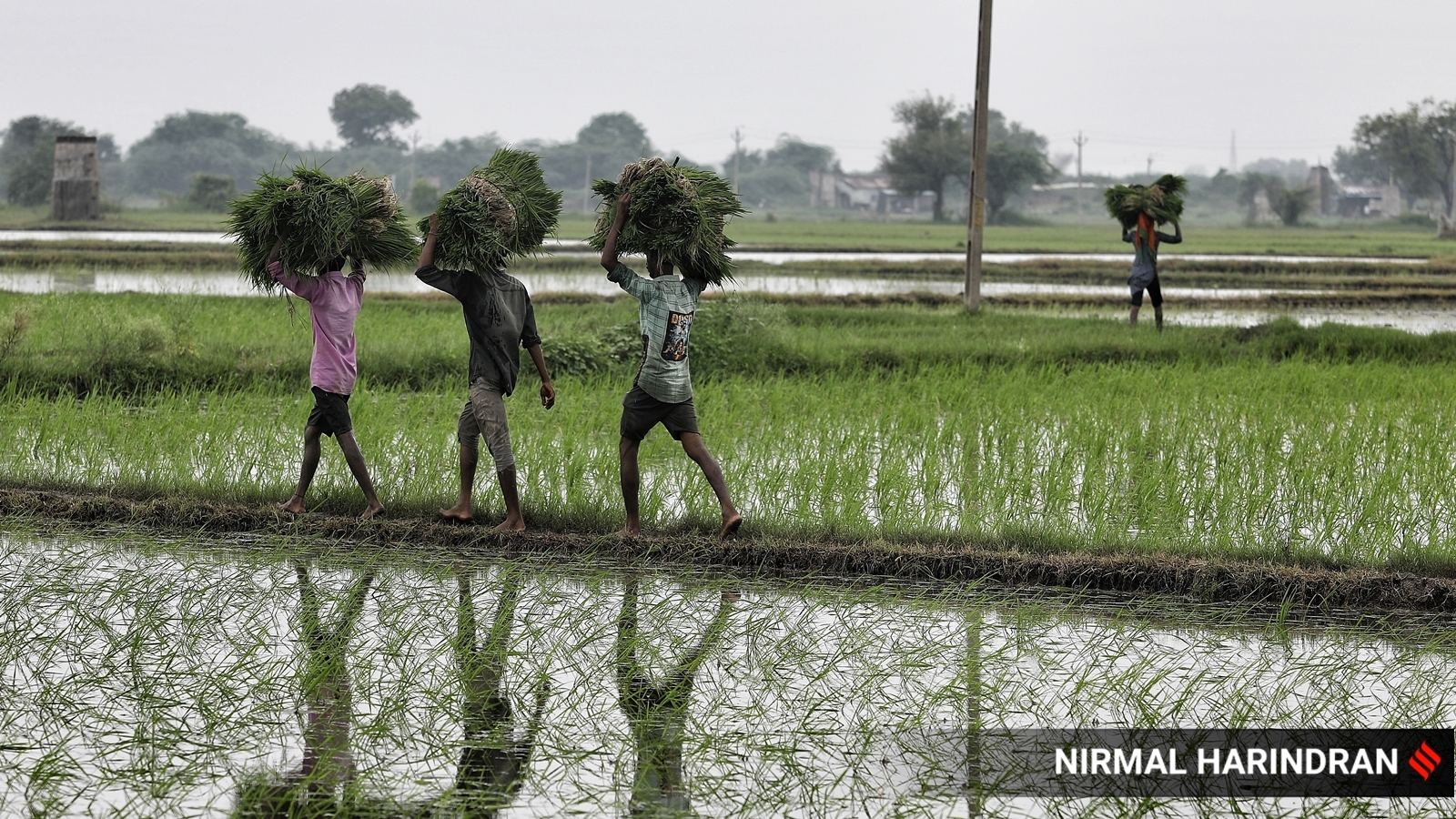 The stubborn food inflation problem | The Indian Express