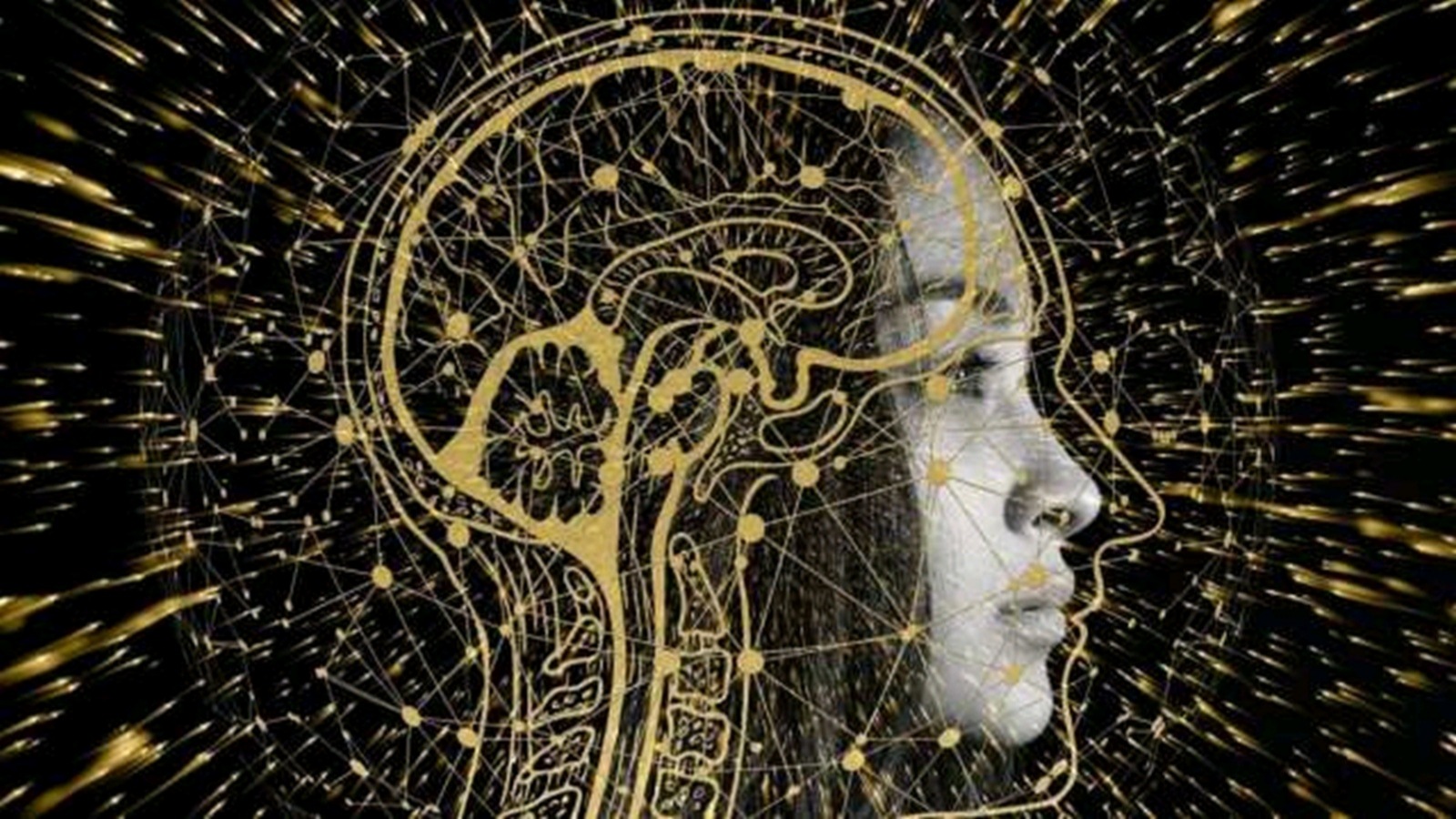 National Scientists Round Table Conference, NSRTC, MIT World Peace University, MIT-WPU, Indian express news, current affairs