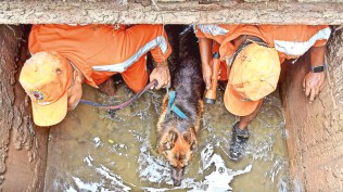 Assam floods, Assam floods news, Assam floods updates, Assam floods CM Himanta Biswa Sarma, India news, Assam news