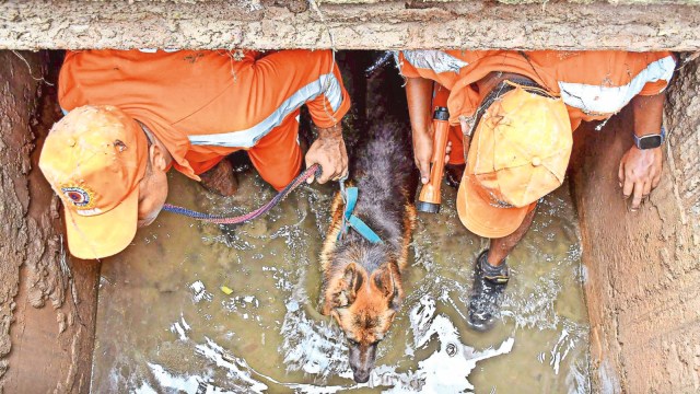 Assam floods, Assam floods news, Assam floods updates, Assam floods CM Himanta Biswa Sarma, India news, Assam news