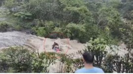 Pune Bhushi dam incident