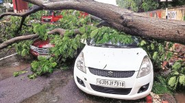 Gujarat rains, Gujarat heavy rain, Gujarat red alert, Gujarat IMD rain prediction, Gujarat schools shut, Gujarat weather, Gujarat weather update, Indian express news