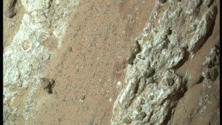 Scientists have wondered if life could have arisen on early Mars when it possessed a dense atmosphere and flowing water. Martian rocks could hold important clues.
