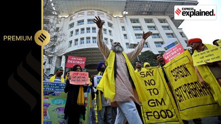 A 'Sarson Satyagraha' outside the Ministry of Environment, Forests & Climate Change in protest against GM mustard in New Delhi in 2016. (
