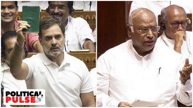 Congress leader Rahul Gandhi and party chief Mallikarjun Kharge speak during the ongoing Session of the Parliament. (PTI)