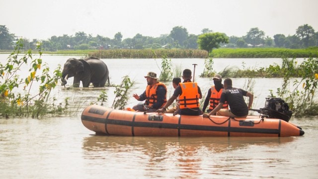 The months of July and August are infamous for the suffering it brings to the state’s people and wildlife. (PTI)