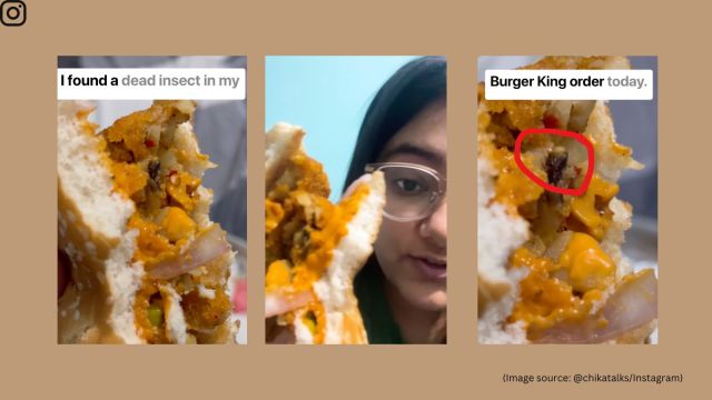 In a video, the food vlogger showed the dead insect caught up in the patty (Image source: @chikatalks/Instagram)