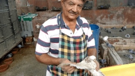 delhi (6) animal shelter