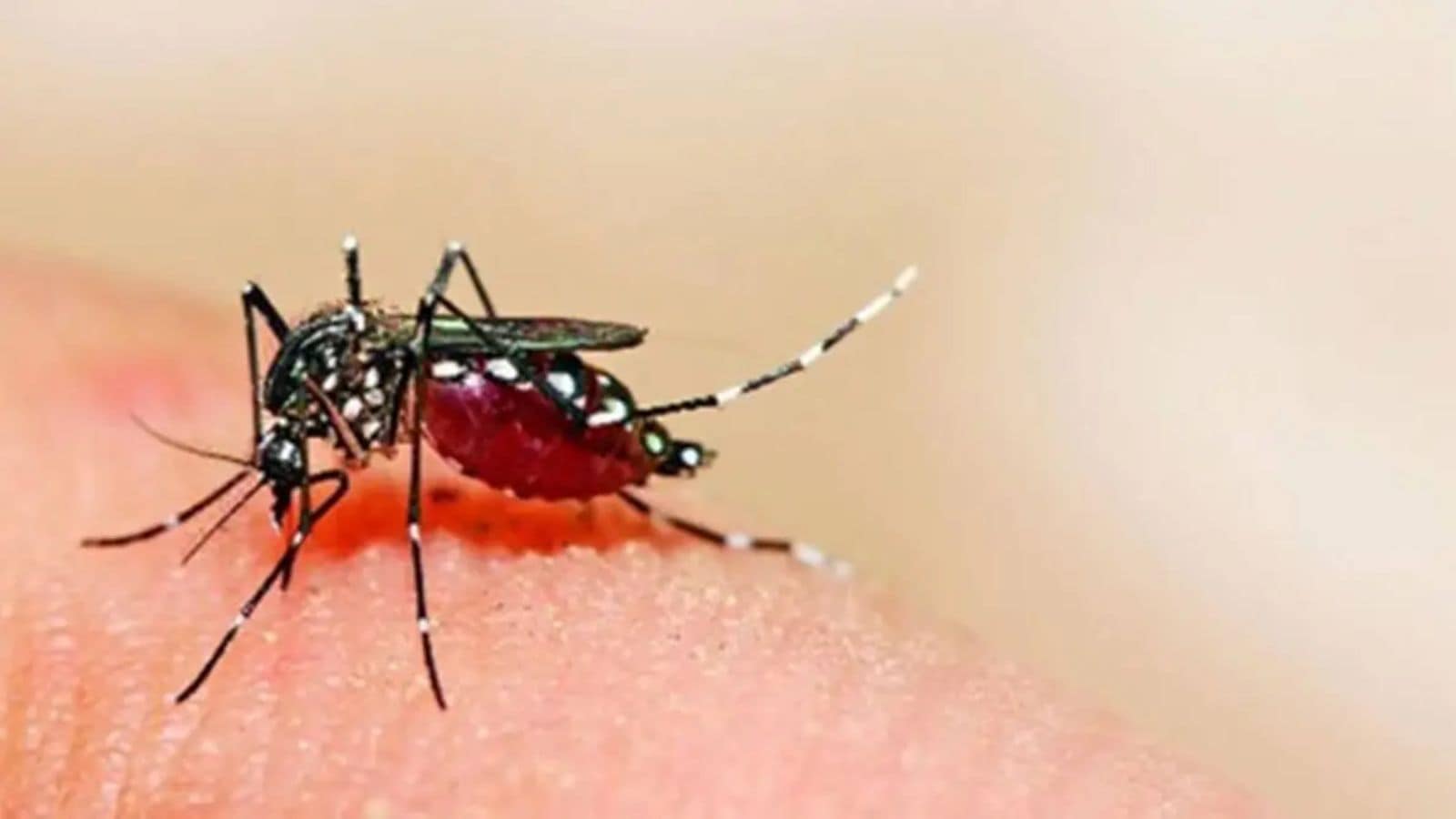 Rare neurological complication due to Zika virus in Pune, 61-year-old ...