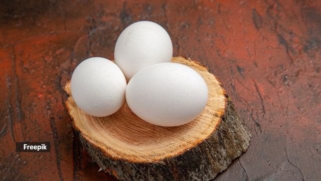 egg