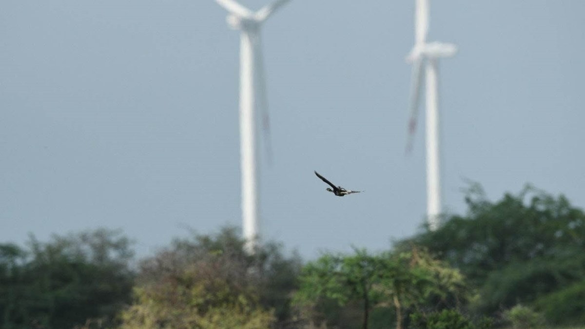 environment vs development