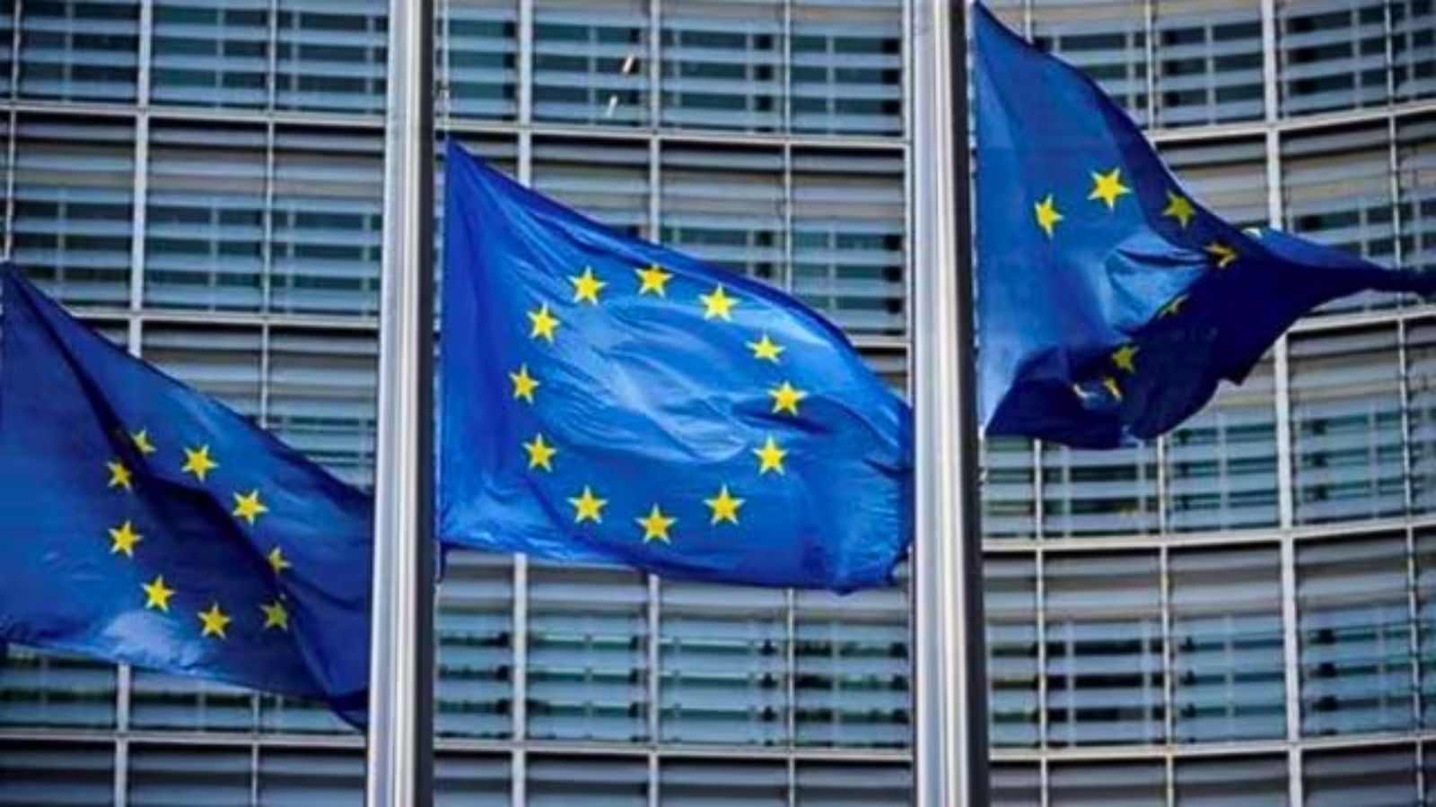 EU human rights talks with Vietnam draw censure