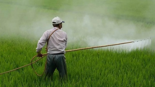 Centre’s subsidy bill to fall to five-year-low in 2024-25
