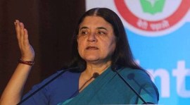 Maneka Gandhi, Allahabad High Court, Gandhi challenged Ram Bhual Nishad, Gandhi moved HC, Samajwadi Party, Sultanpur Lok Sabha constituency, Indian express news