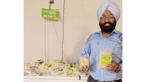 Sugarcane, Faridkot, farmer