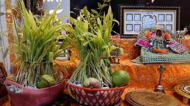 The celebrations of Harela begin a few days before the actual festival day. People clean their homes and decorate them with green leaves and flowers. They also prepare traditional dishes like Bhatt ki Churkani, Baadi, and Gulgula.