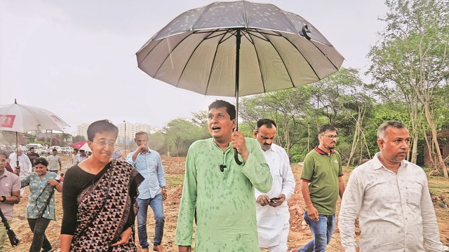Ridge tree falling, Delhi govt, fact-finding committee, trees illegal felling, allegations of trees illegal felling, Southern Ridge area, Delhi Development Authority, DDA news, Indian express news