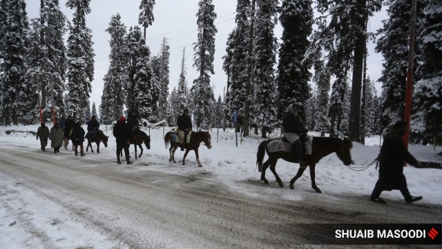 kashmir tourists