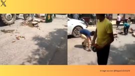 The video shows men, women, and youngsters grabbing liquor bottles (Image source: @Rajput131313/X)