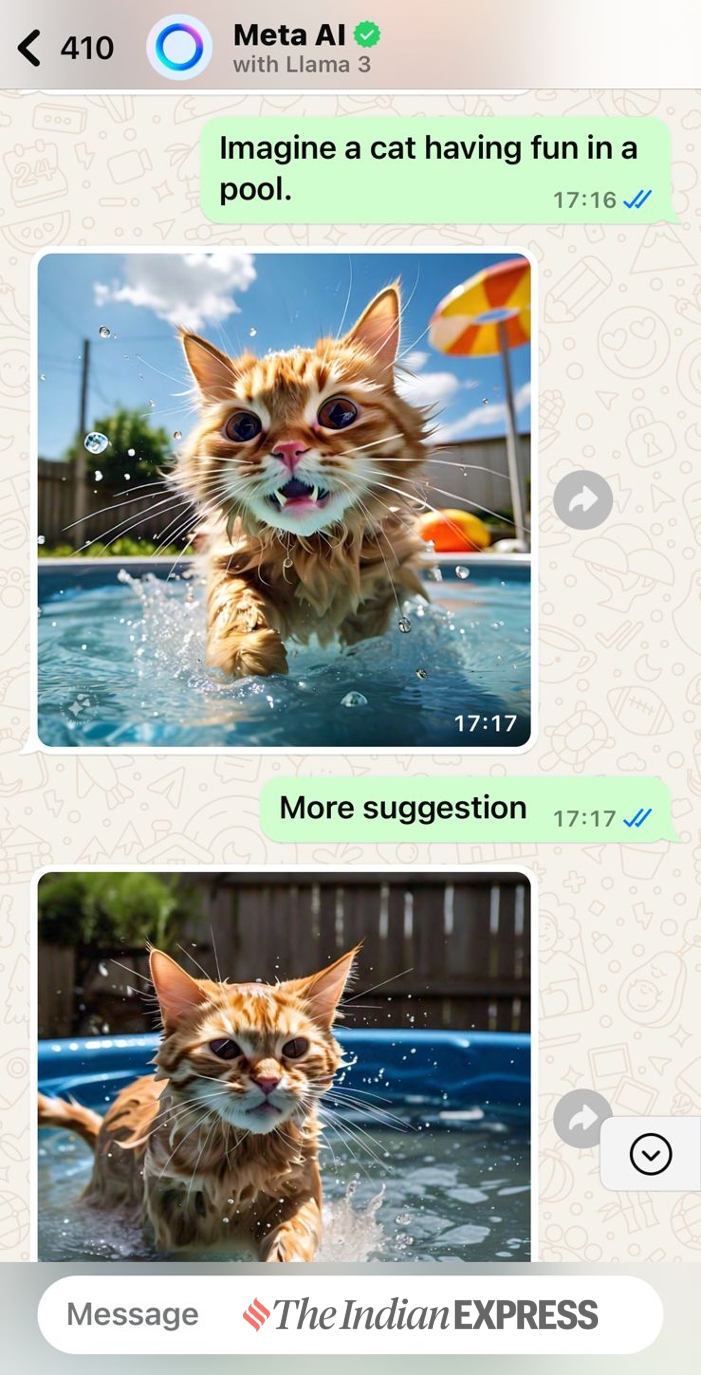 Meta AI on WhatsApp