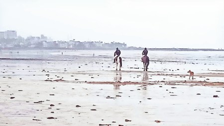 Mumbai police, Mumbai police mounted unit, horse mounted unit, Mumbai police horse mounted unit, Mumbai news, Mumbai current affairs, Maharashtra news, Indian express, current affairs