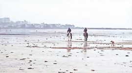 Mumbai police, Mumbai police mounted unit, horse mounted unit, Mumbai police horse mounted unit, Mumbai news, Mumbai current affairs, Maharashtra news, Indian express, current affairs