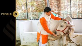 Madhya Pradesh Chief Minister Mohan Yadav had directed all state officials to take special action on illegal transportation of cows. Express