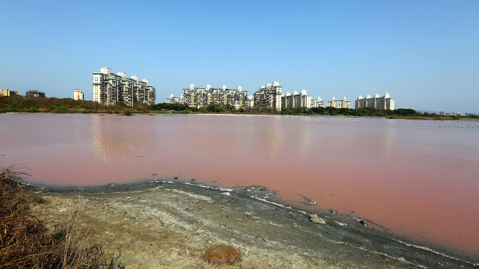 Even as water level at lakes get rainfall push, Mumbai civic body says