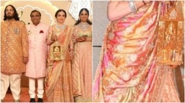 nita ambani raman divo