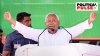Bihar Chief Minister Nitish Kumar.