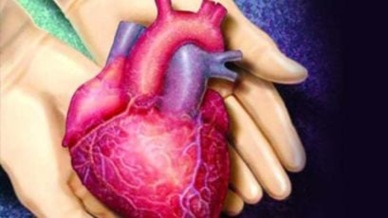 These intensivists will be crucial in maintaining potential organ donors in an optimal state, thereby preserving organ function until they can be harvested. Their expertise will also aid in identifying suitable candidates for organ donation.