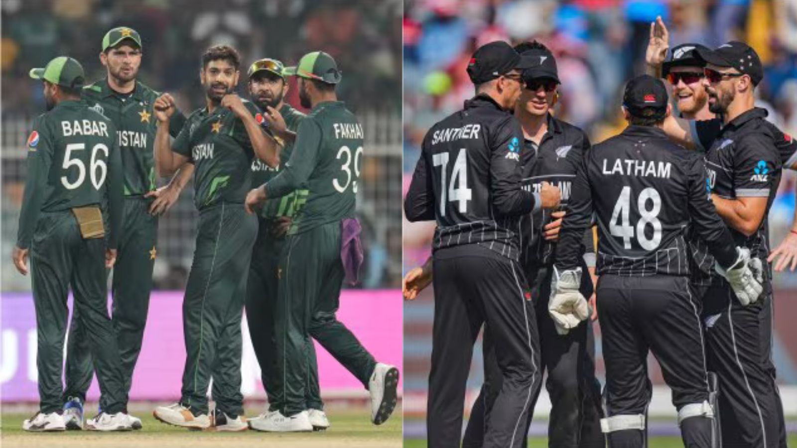 Snubbed from IPL, Pakistan to play New Zealand in bilateral series