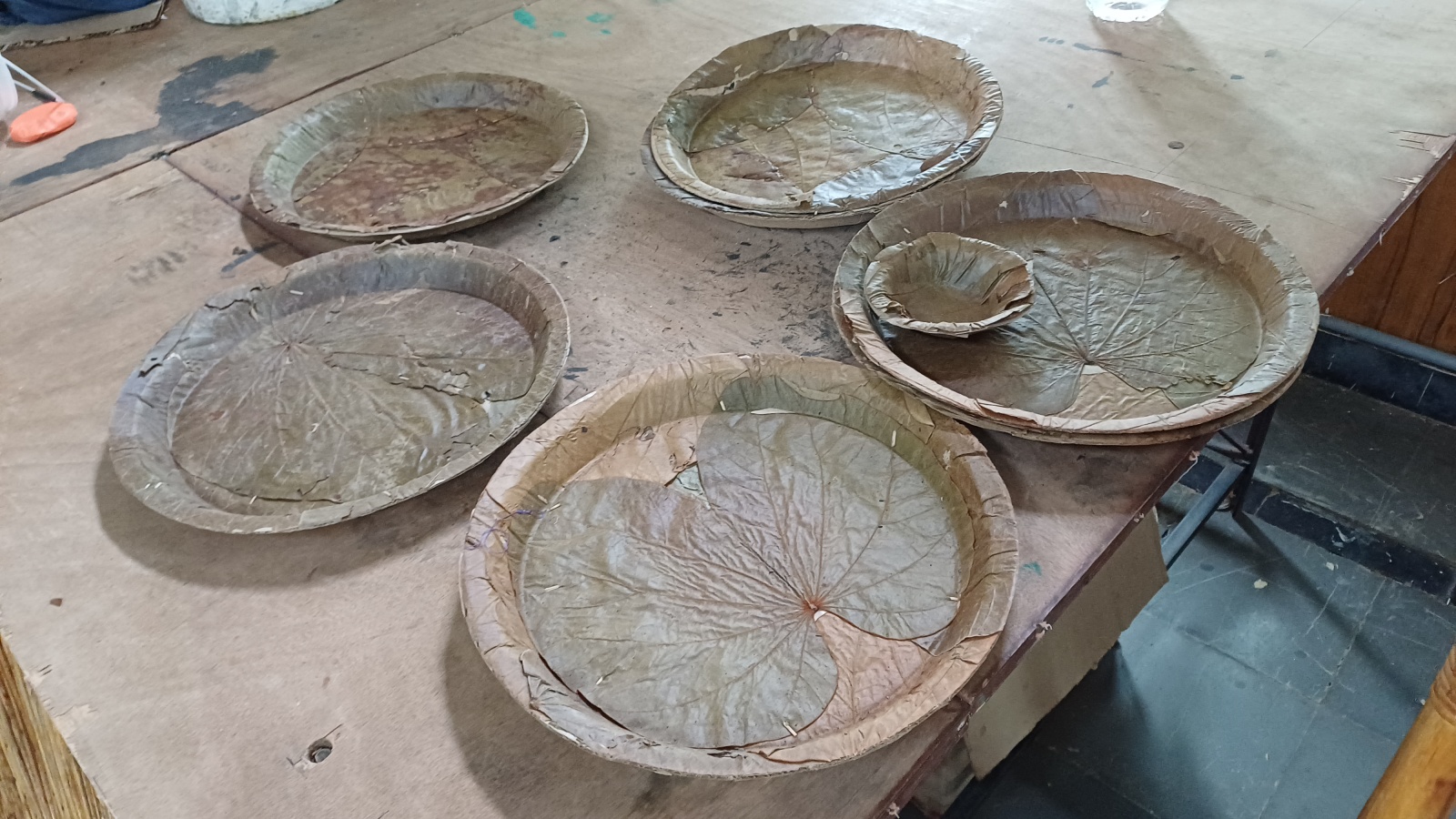 (Express Photo by Rahul Pisharody)