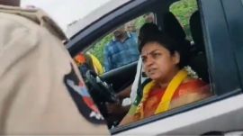 Andhra Pradesh minister's wife