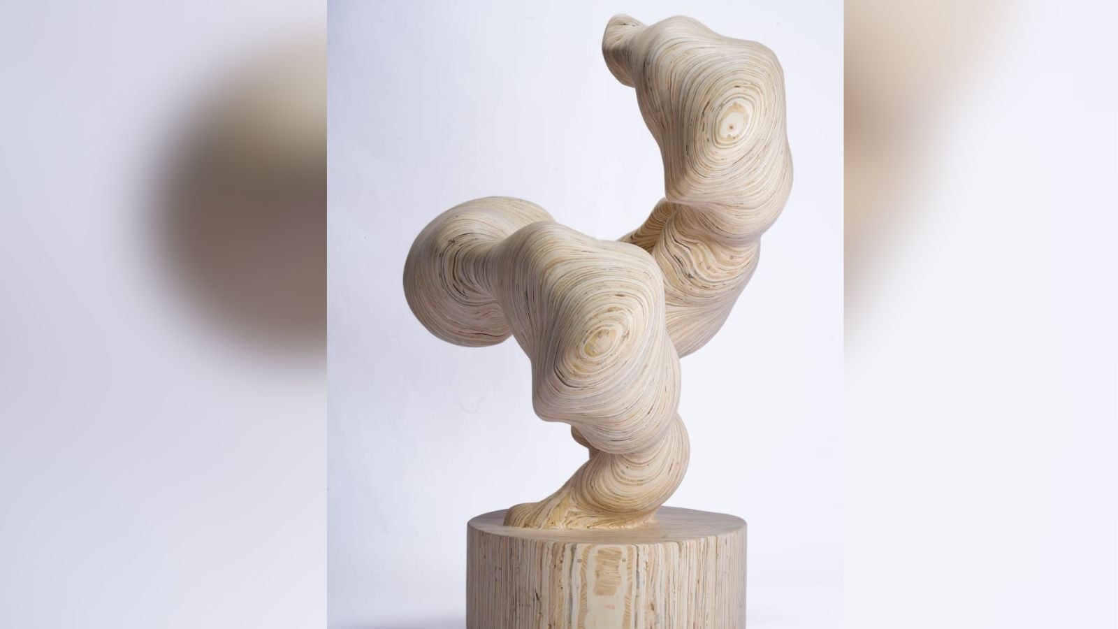 His two sculptures are smaller than the one at Lalit Kala Akademi but far more intense and evolved.