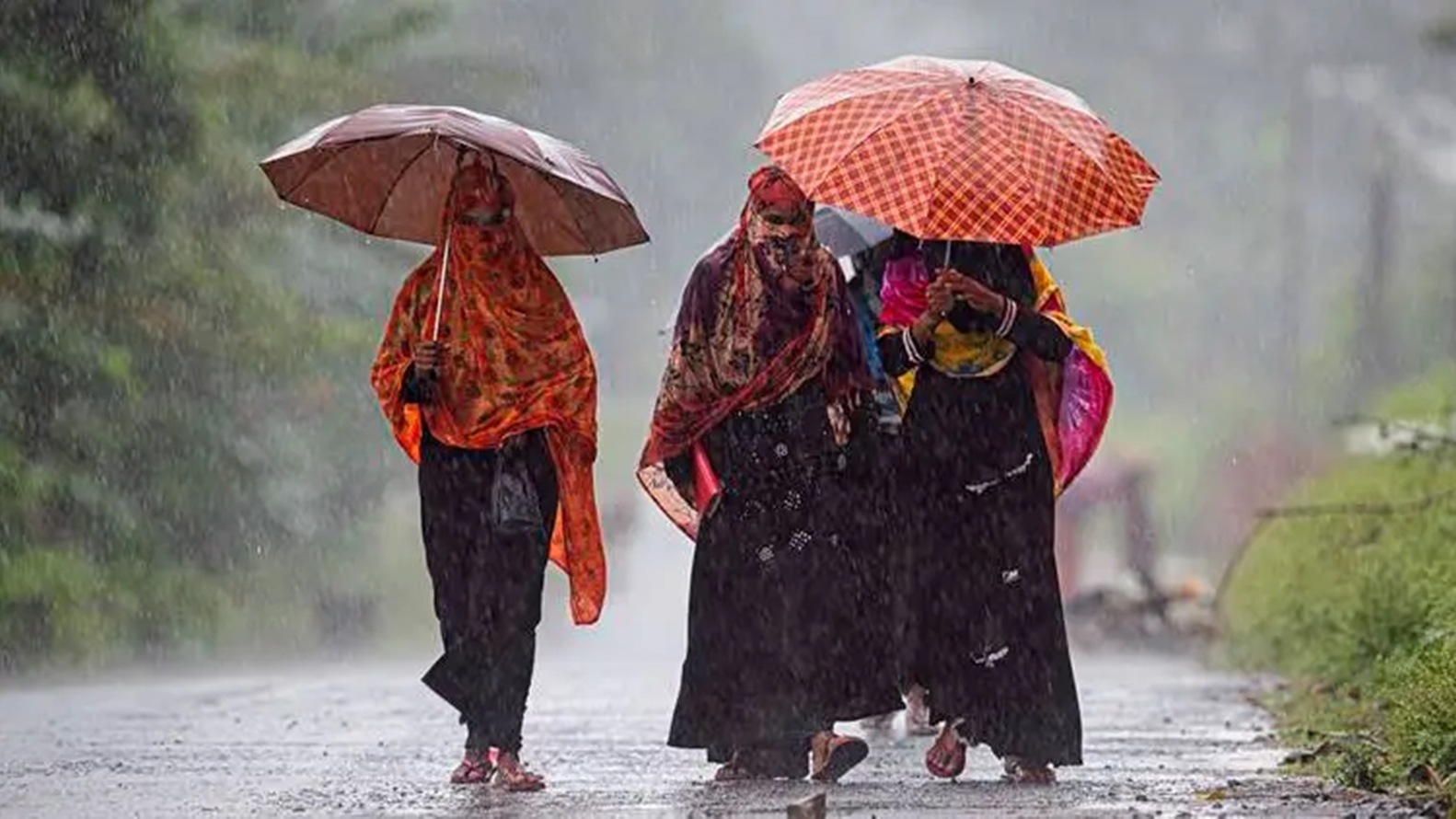 IMD orange alert, Gujarat rain, Gujarat orange alert, Gujarat heavy rain, India Meteorological Department, Gujarat weather forecast, indian express news