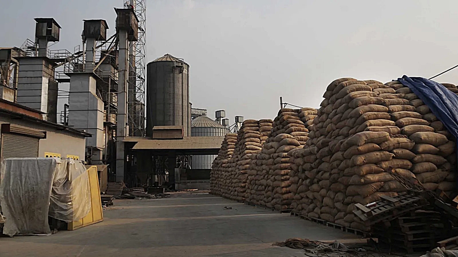 Slow movement of rice from mills: Punjab millers cry foul | Chandigarh ...